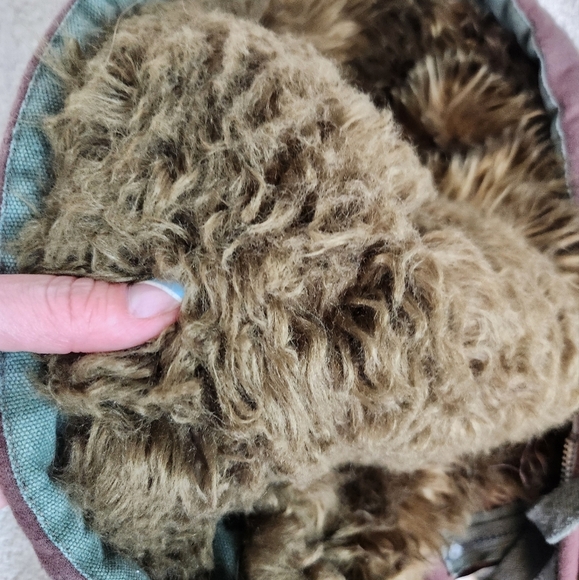 Abercrombie & Fitch Y2K Wolf Jaw Jacket Hoodie Hooded Sweatshirt FauxFur Sherpa - Picture 14 of 14